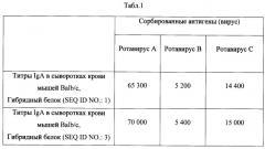 Вакцина для профилактики и лечения ротавирусной инфекции, содержащая гибридный белок в качестве активного агента (варианты) (патент 2539913)