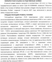 Мотивы последовательности рнк в контексте определенных межнуклеотидных связей, индуцирующие специфические иммуномодулирующие профили (патент 2435851)