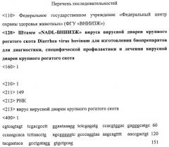 Штамм "nadl-вниизж" вируса вирусной диареи крупного рогатого скота diarrhea virus bovinum для изготовления биопрепаратов для диагностики, специфической профилактики и лечения вирусной диареи крупного рогатого скота (патент 2449013)