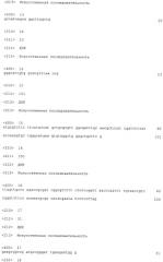 Бактерия escherichia coli для получения 1,2-пропандиола, способ ее получения, способ получения 1,2-пропандиола (патент 2407793)