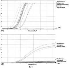 Способ выявления микобактерий туберкулеза генотипа веijing в режиме реального времени (патент 2528866)