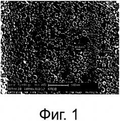 Адъювантная композиция, содержащая наночастицы поли-гамма-глутаминовой кислоты-хитозан (патент 2558794)