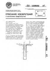 Устройство для образования и введения пара в грунт (патент 1239202)