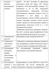 Штамм бактерий escherichia coli krx pet32b/asfv/p30-продуцент химерного рекомбинантного белка p30 вируса африканской чумы свиней (патент 2647573)