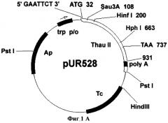 Способ получения трансгенных растений с повышенной устойчивостью к фитопатогенам (патент 2261275)