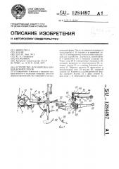 Устройство для обрезки концов корнеплодов (патент 1284497)