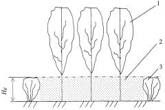 Способ формирования влагообеспеченной конструкции лесополосы (патент 2443101)