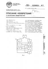 Многоканальное устройство для обработки первичной информации (патент 1234851)