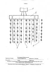 Способ возделывания свеклы (патент 1704663)