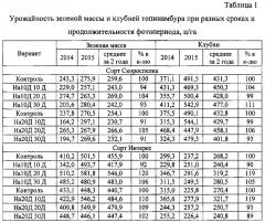 Способ увеличения продуктивности топинамбура (патент 2619306)