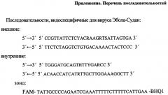 Набор олигонуклеотидных праймеров и флуоресцентно-меченых зондов для видоспецифичной экспресс-идентификации вируса эбола-судан методом полимеразной цепной реакции (патент 2487167)
