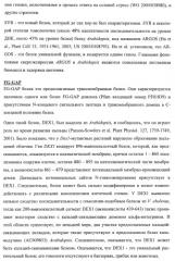 Растения, имеющие улучшенные характеристики роста, и способы их получения (патент 2463352)