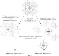 Комплекс логического элемента на основе биомолекул (варианты) (патент 2491631)