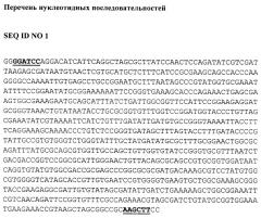 Рекомбинантный продуцент омега-амидазы человека nit2 на основе escherichia coli (патент 2642323)