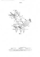 Устройство для обрезки ботвы корнеплодов (патент 1618319)