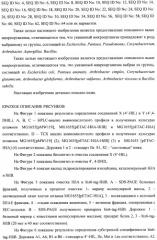 Способ получения гидроксилированной аминокислоты (варианты) и микроорганизм, трансформированный днк, кодирующей диоксигеназу (патент 2460779)