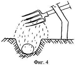Способ дворянидова а.г. посадки клубней картофеля (патент 2269236)