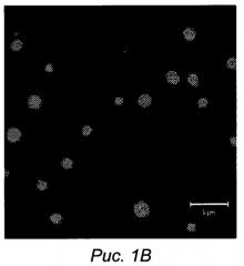 Способ формирования микрочастиц (патент 2521388)