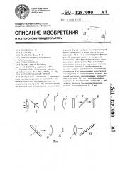 Фотокопировальный прибор (патент 1287090)