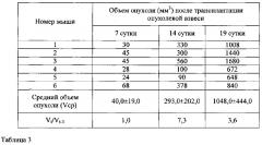 Подкожный ксенографт клеточной линии беспигментной меланомы кожи человека mel rac с мутацией nras для доклинического изучения противоопухолевых таргетных средств (патент 2651939)