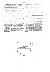 Тара (патент 1404414)