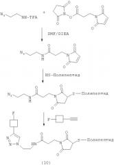 Селективное введение радиоактивной метки в биомолекулы (патент 2491958)