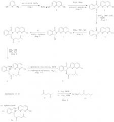 Способы получения 2-(7-хлор-1,8-нафтиридин-2-ил)-3-(5-метил-2-оксогексил)-1-изоиндолинона (патент 2318823)