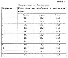 Штамм клеток яичников китайского хомячка - продуцент рекомбинантного антитела против фактора некроза опухоли альфа человека (патент 2556816)