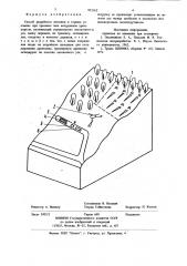 Способ разработки лесосеки в горных условиях при трелевке леса воздушным транспортом (патент 952162)