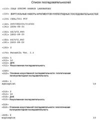 Виртуальные наборы фрагментов нуклеотидных последовательностей (патент 2390561)