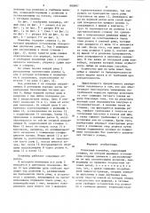 Роликовый конвейер (патент 880897)