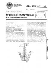 Устройство для мойки корнеклубнеплодов (патент 1303132)