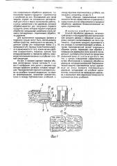 Способ обработки деревьев (патент 1782461)