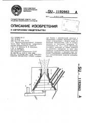 Устройство для предпосевной обработки семян (патент 1192663)
