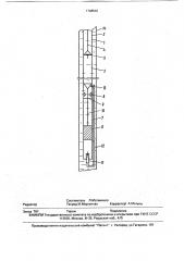 Скважинный штанговый насос (патент 1798542)