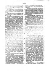 Картофелеуборочный комбайн в.г.наголюка (патент 1804284)