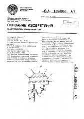 Дозатор лекарственных растворов (патент 1584955)