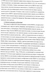 Линии клеток почки собаки майдин-дэрби (mdck), поддерживающие рост вирусов до высоких титров, и способ применения этих клеток в биореакторе (патент 2487935)