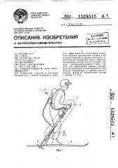 Принадлежность для передвижения (патент 1528515)