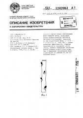 Способ отбора скороплодных форм грецкого ореха (патент 1242063)