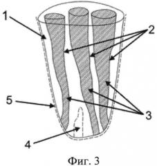 Модель корня зуба (патент 2565132)
