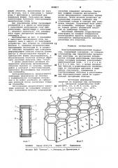 Электрохемилюминесцентный индикатор (патент 868827)