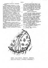 Устройство для окорки (патент 982916)