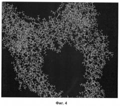 Олигопептид, обладающий активностью фактора стволовых клеток csf по отношению к дифференцировке тимоцитов (патент 2374262)