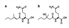 Нерастворимый в воде циклодекстриновый поликонденсат: применение в качестве агента захвата (патент 2662778)