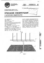 Способ локализации пустот и горных выработок (патент 1059213)