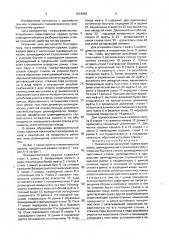 Пневматическое оружие (патент 1828993)