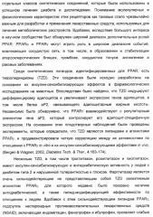 Соединения, являющиеся активными по отношению к рецепторам, активируемым пролифератором пероксисом (патент 2356889)