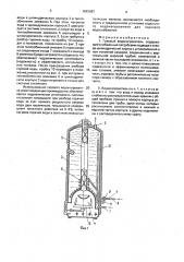 Газовый водонагреватель (патент 1643887)