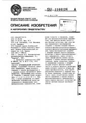 Функциональный преобразователь (патент 1144124)